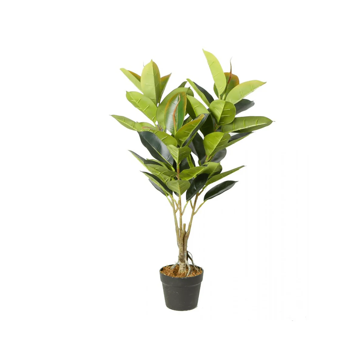 Artificial Oak Plant