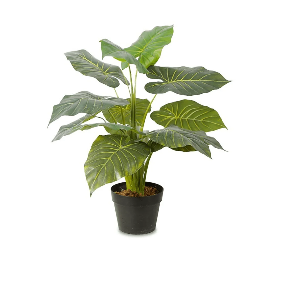 Artificial Plant Taro