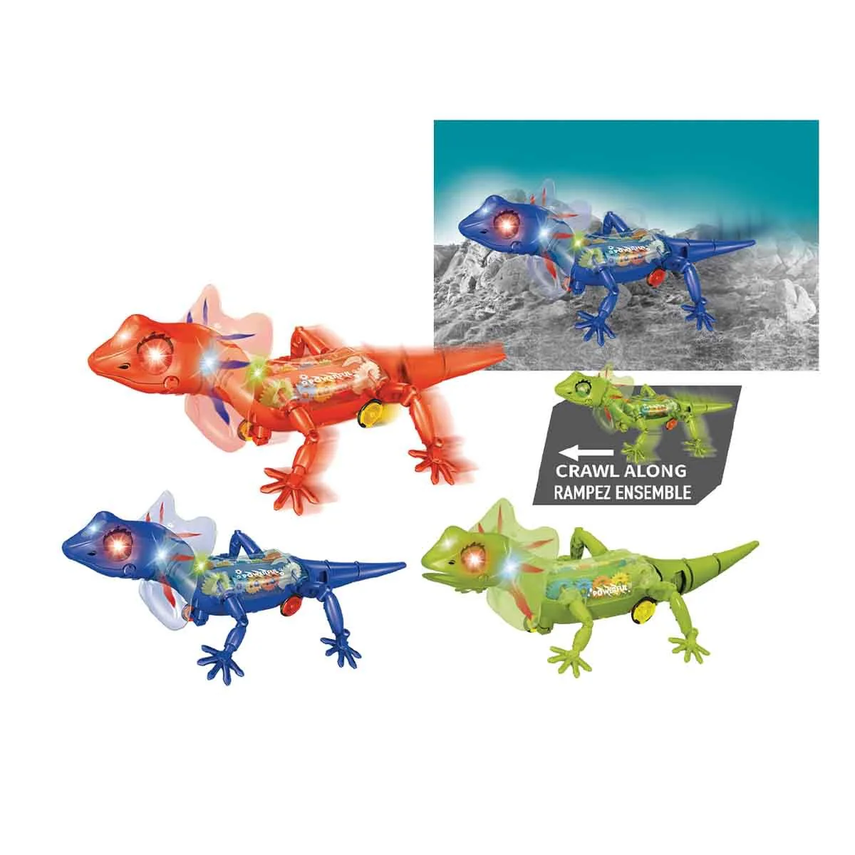 B/o Lizard