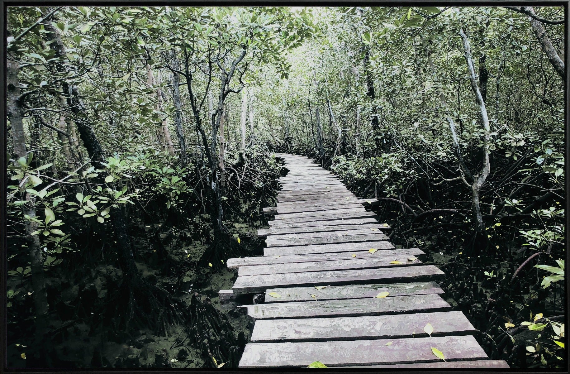 Canvas Forest Bridge & Path 75x115 W/frame - Image 2