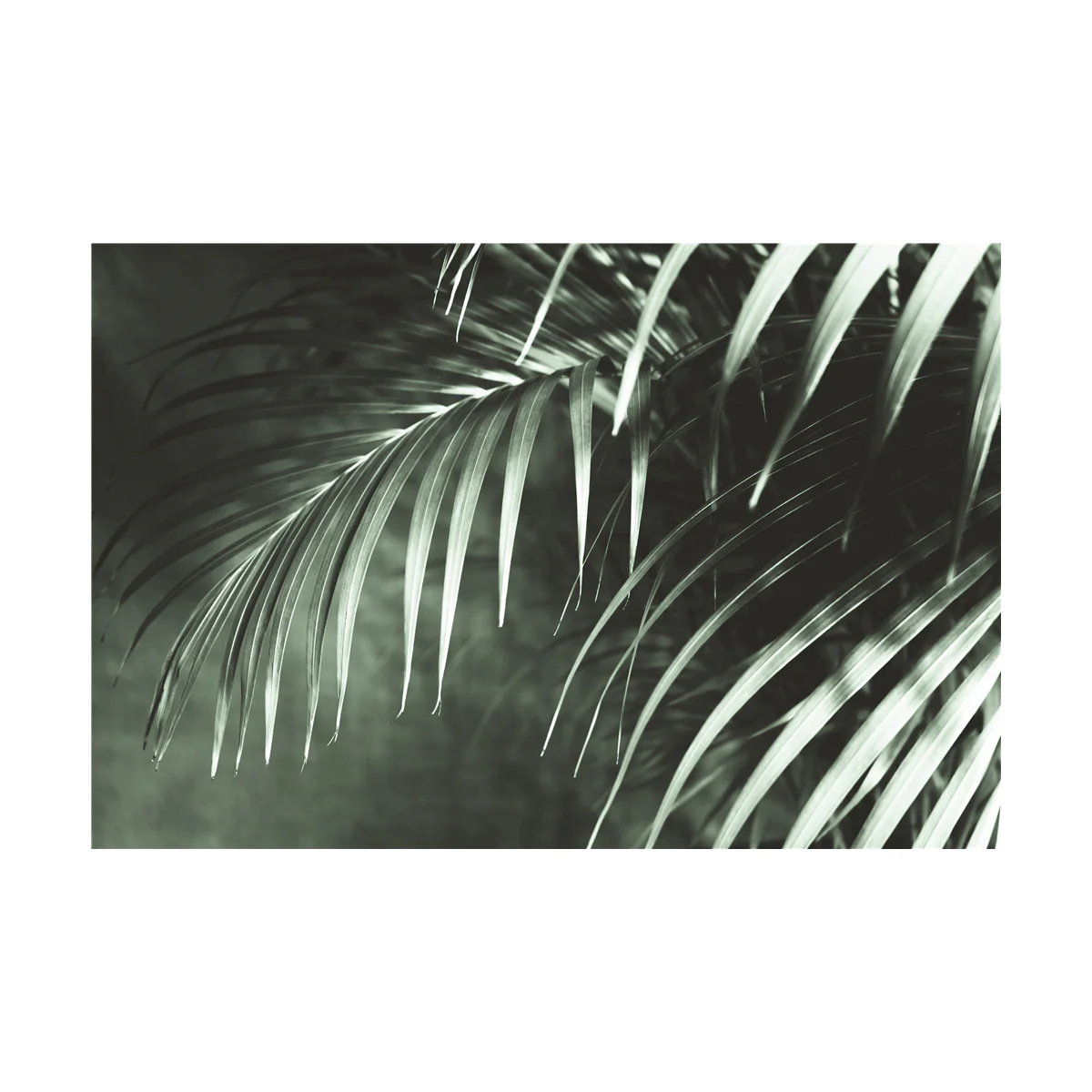 Canvas Green Forest - Image 4