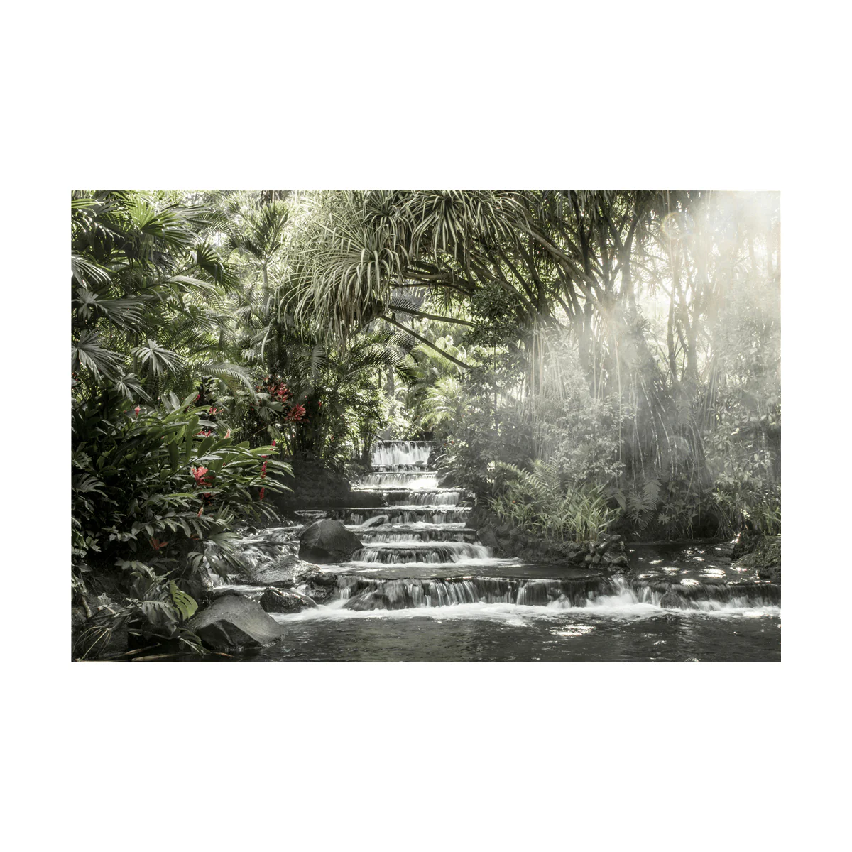 Canvas Green Forest - Image 5