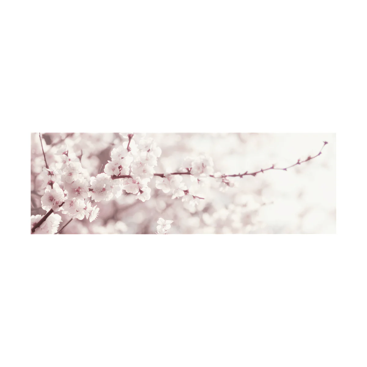 Cherry blossom Canvas - Image 2