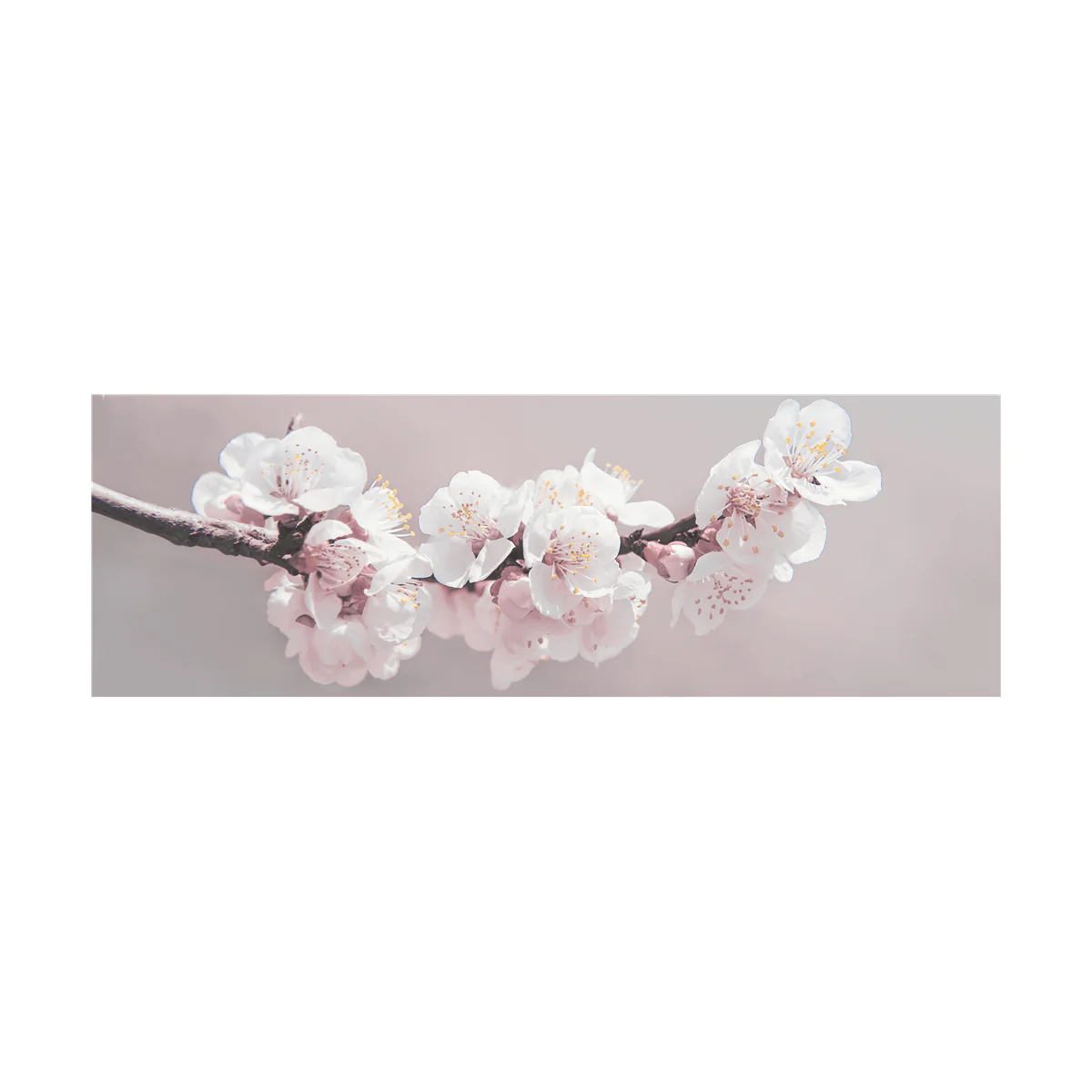 Cherry blossom Canvas - Image 4