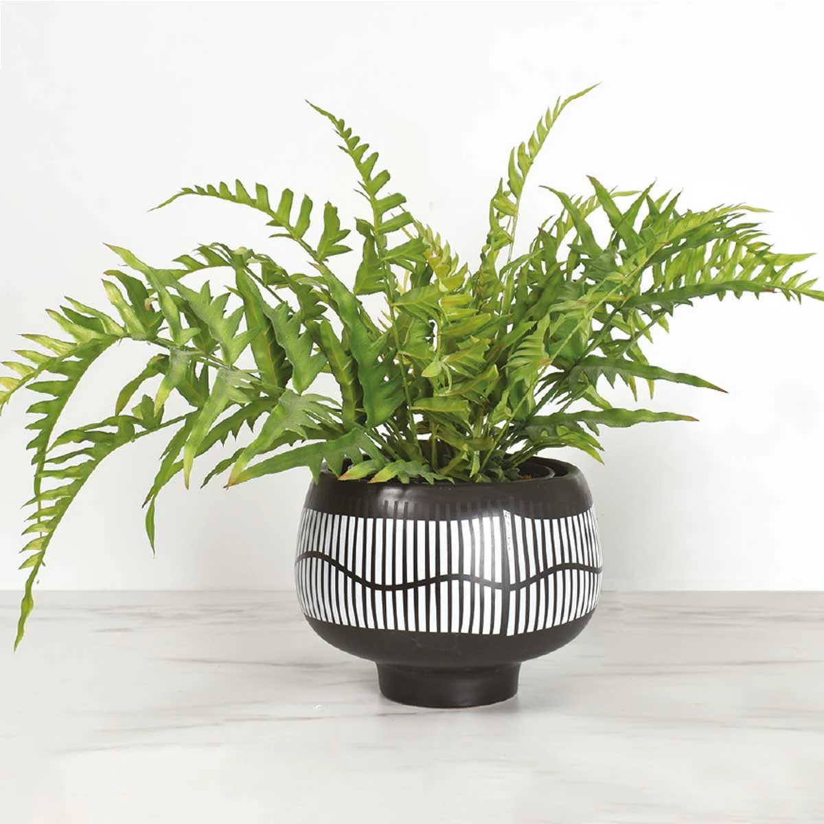 Dario Porcelain Planter Vase