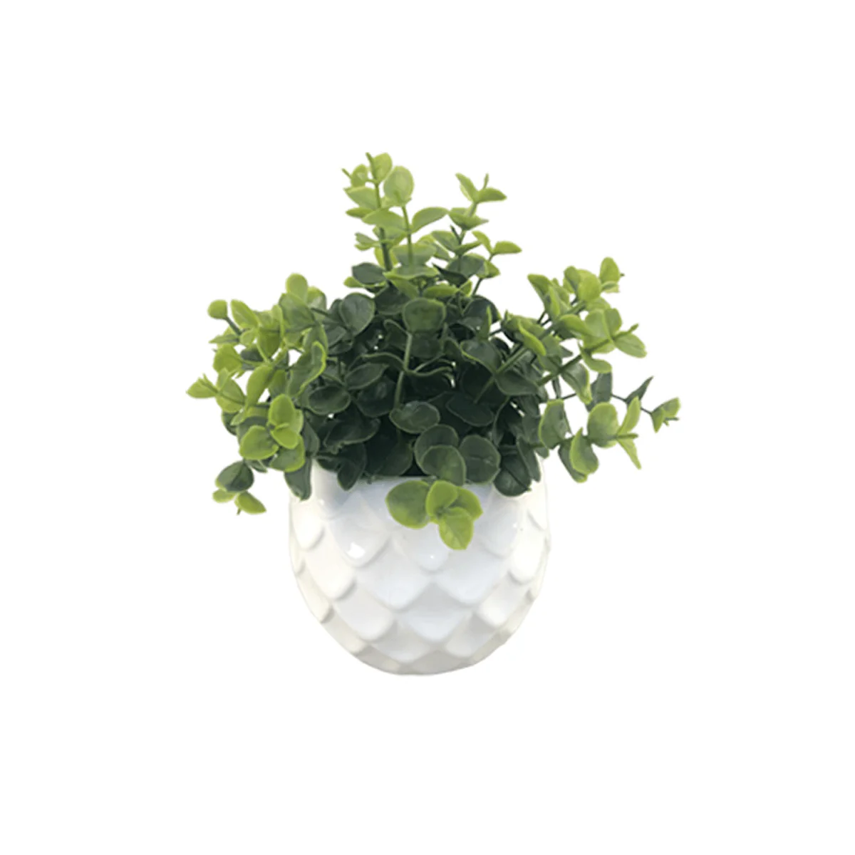Grass Ceramic Pot 10.5x23 - Image 2