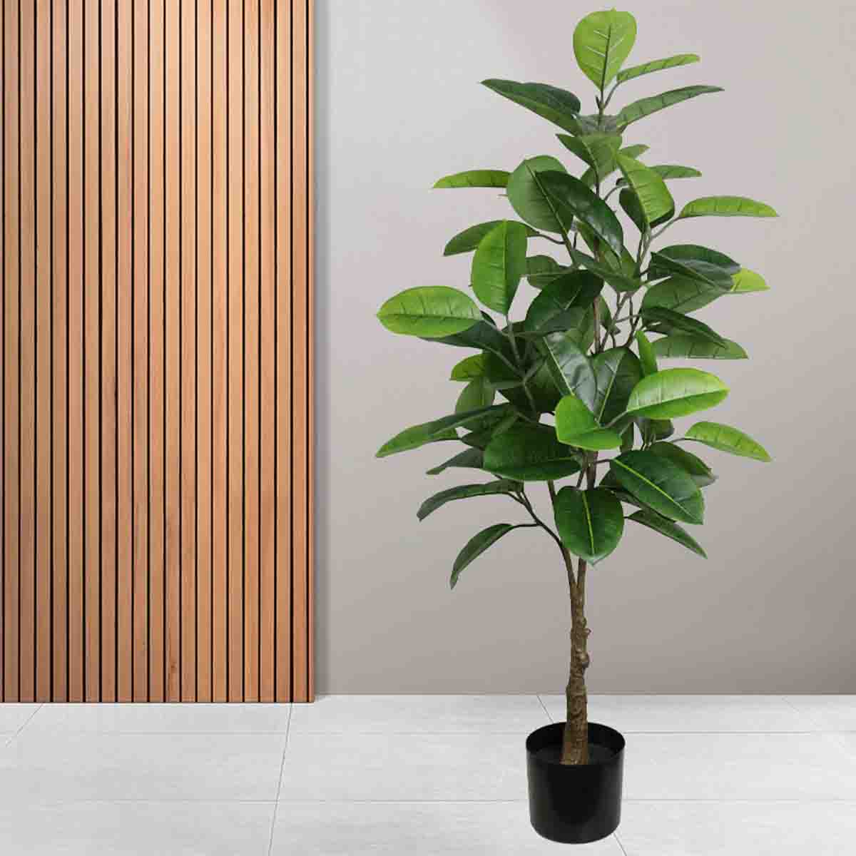 Lauren Taylor - Ficus Tree 72 Leaves - Image 2