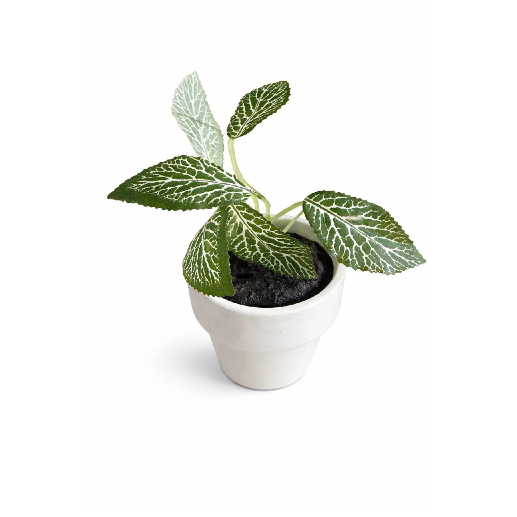 Mini Potted Greenery Set – Assorted Styles (4 Pack)