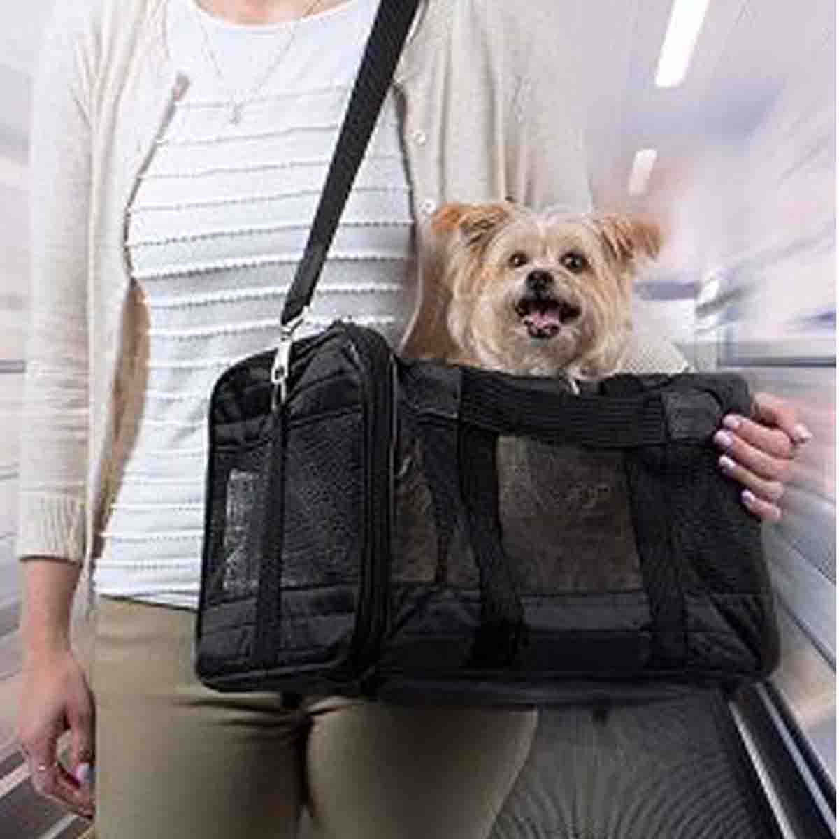 PAWS & WHISKERS - Pet Travel Carrier - Image 5
