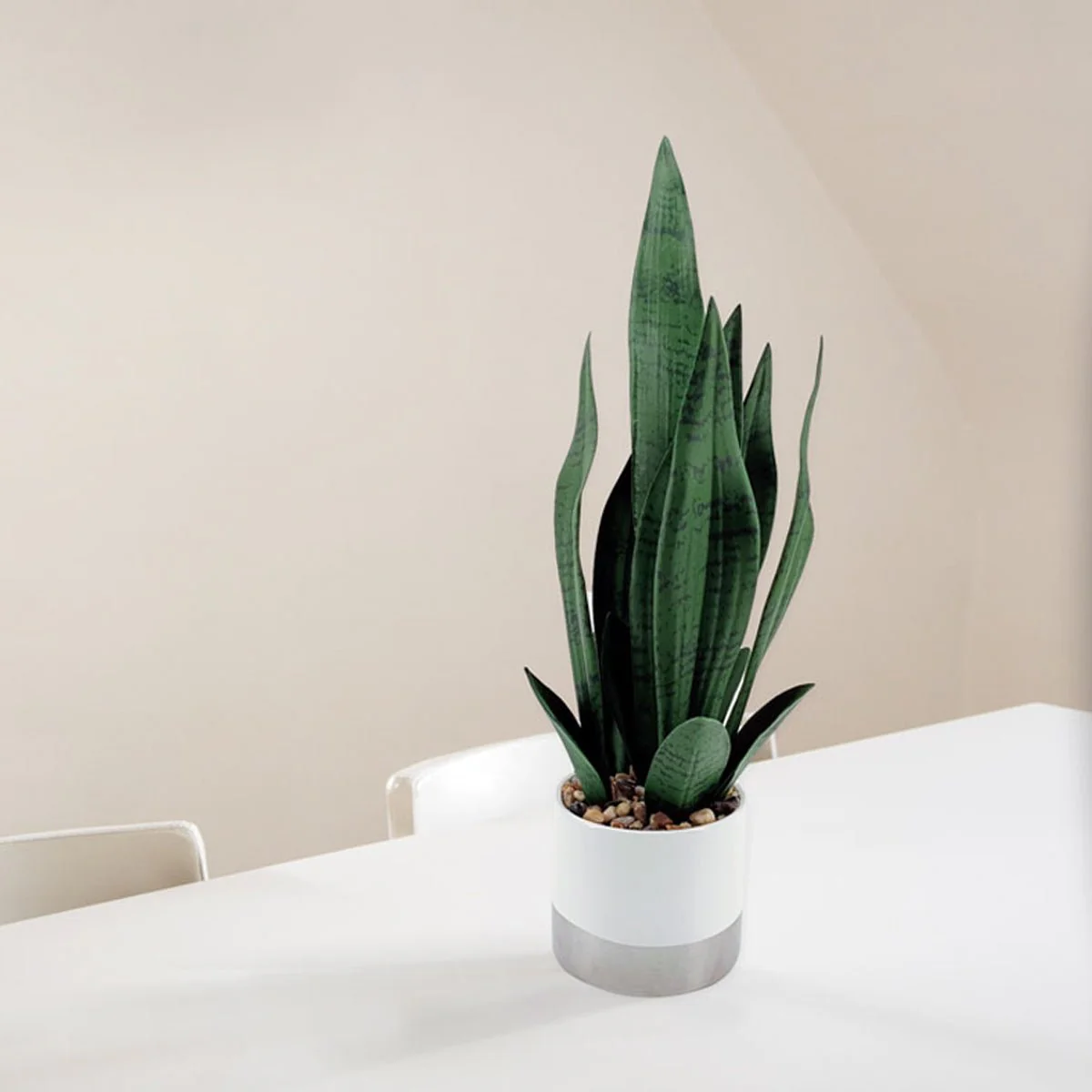Snake Plant Ceramic Pot 12x48.5