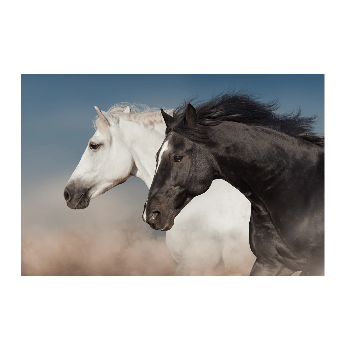 Wild Life Printed Canvas - Image 8